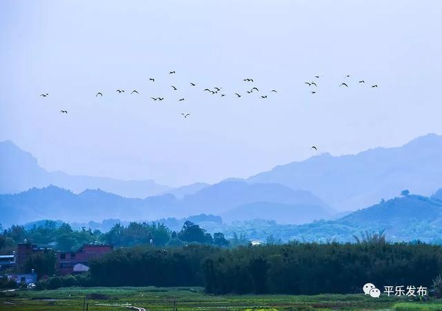 听说，这片山河，还藏着一个“和平安乐”的愿景……