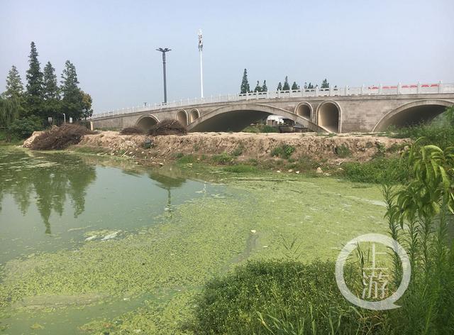 江苏盐城千亩水域因开发景区蓝藻泛滥变死水 官方：已制定修复方案