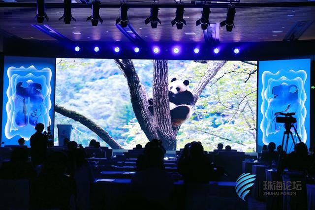 千余人参与取名 航天熊猫宝宝正式取名“航宝”