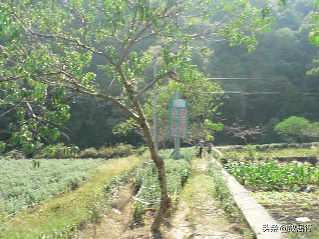 婺源晓起，美丽的千年古村