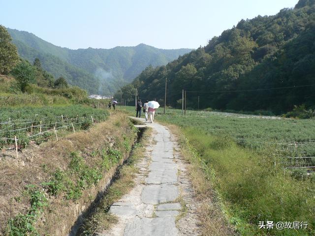 晓起，树养人丁水养财