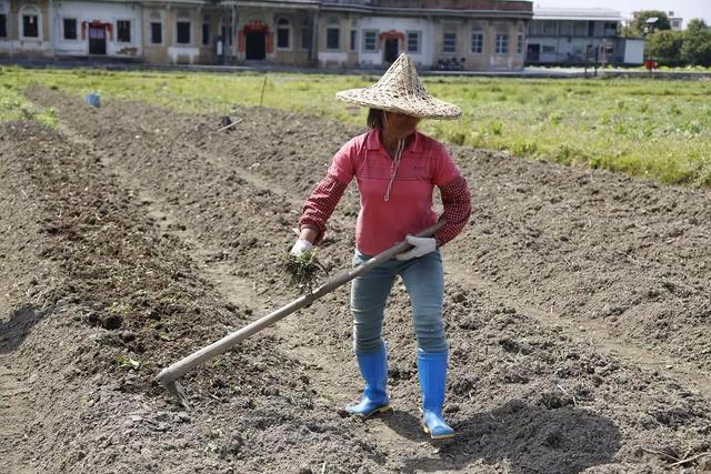 重庆“盆栽娃娃”：身高80厘米，平均每月骨折一次，睡觉不敢翻身