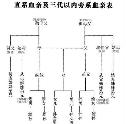 孩子辈分不会排很尴尬，最全的中国式关系图谱和最新姓氏排名来啦