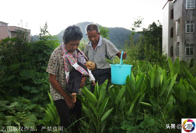 孩子出生后患病，得知还要花50万，奶奶将其抱回家每天挖草药治疗