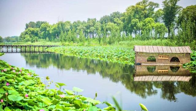 没有水的芦苇地，也能称为“淀”？