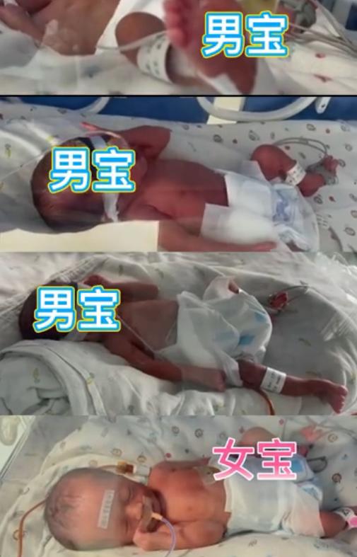 新乡产妇第三胎生下龙凤四胞胎，取名惊艳网友