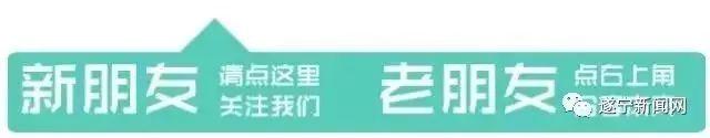 猪市沟、猪家岩、猪儿寨……遂宁带“猪”地名你知道多少？