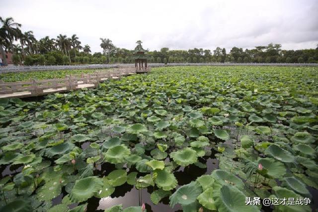 南宋皇室遗孤，崖山侥幸未死，后代继承民族气节，抗战牺牲数十人