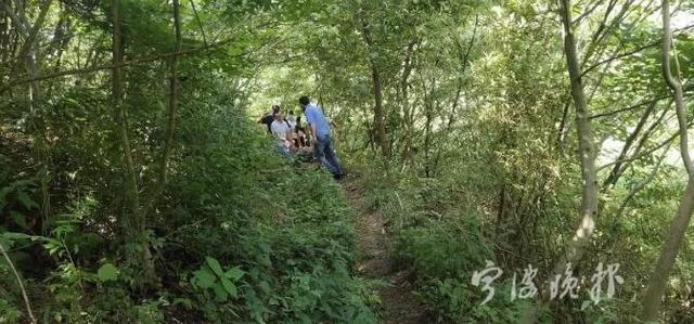 短短几天这里20人住院多人瘫痪，竟是因为一种水果…