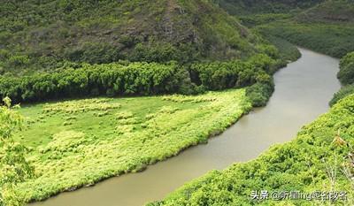 给夏天出生的宝宝取个清凉的名字