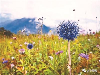 京城这些休闲步道，简直是为遛娃量身定做