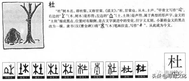 杜-汉字的艺术与中华姓氏文化荀卿庠整理