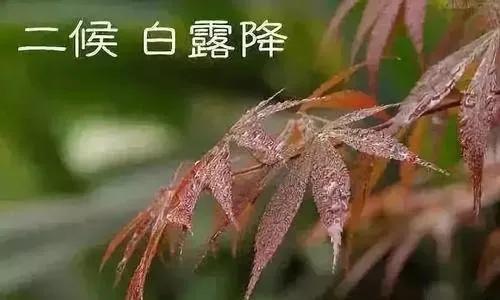 立秋至，凉风起 | 四耳猴和孩子讲讲关于立秋的小知识