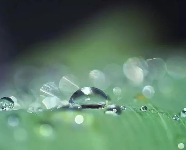 好雨知时节，当春乃发生：今日雨水，10首诗词道尽最美春日雨水