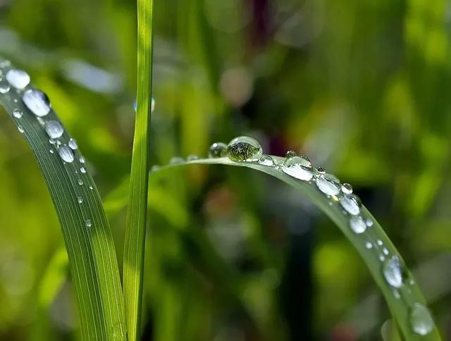 好雨知时节，当春乃发生：今日雨水，10首诗词道尽最美春日雨水