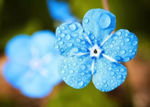 好雨知时节，当春乃发生：今日雨水，10首诗词道尽最美春日雨水