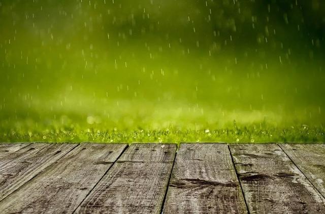 好雨知时节，当春乃发生：今日雨水，10首诗词道尽最美春日雨水