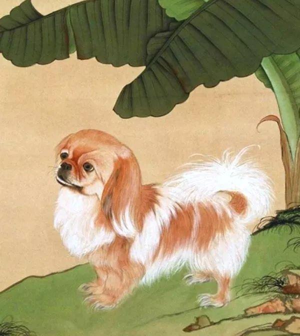 「有范文摘」除了犬，还有哪些汉字是说狗？