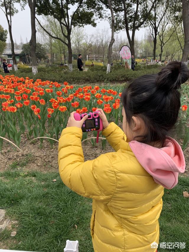 清明时节，新生儿外出需注意什么？