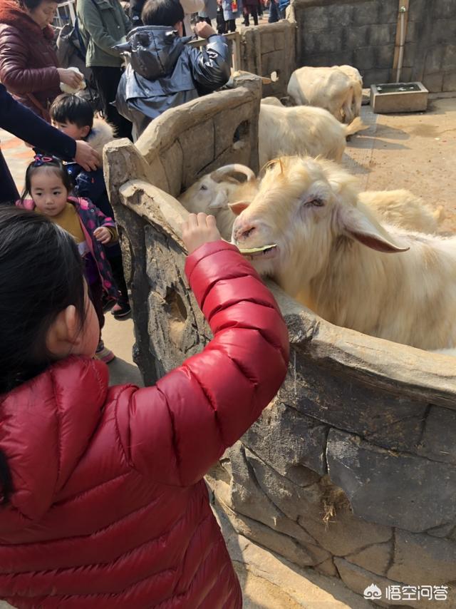 清明时节，新生儿外出需注意什么？