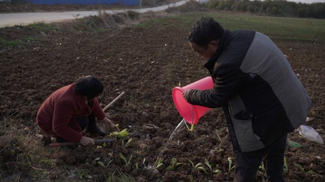 “我是母亲、丈夫和两个孩子的牺牲品”一个写诗的农妇计划出走