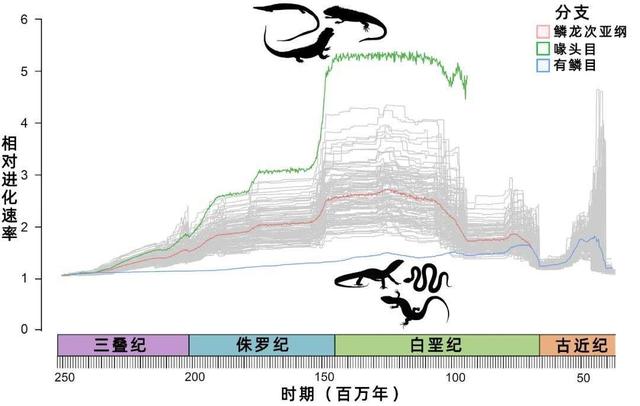 30米巨蛇骨架在谷歌地图都可见，网友怀疑是泰坦蟒，真相是什么？