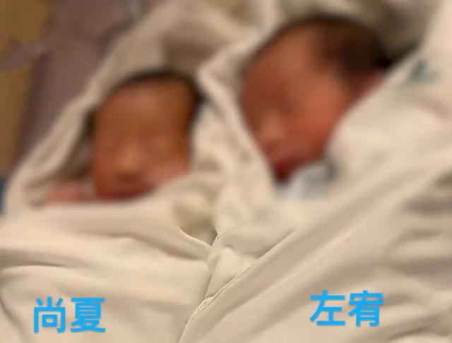 双胞胎宝宝被取名谐音“上下左右”，看到父母的名字后，更绝