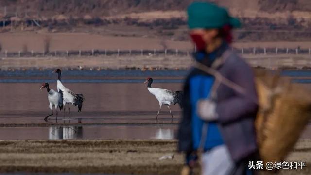 自然合伙人 |“三江主人”彭建生：建一座图像喜马拉雅的藏族汉子