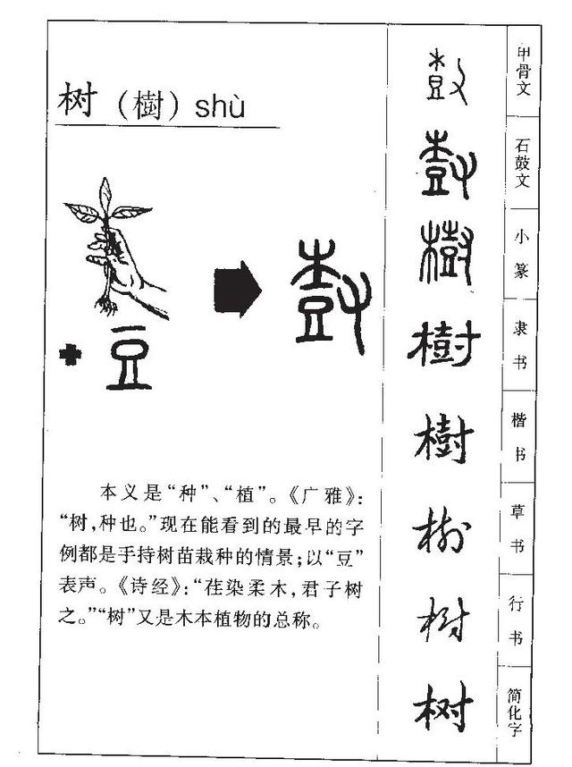 10个风流倜傥的带树字男宝名字，你听说过吗？