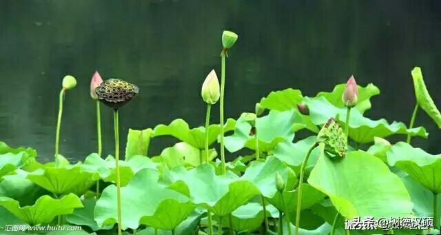 今日小暑，小暑下大雨有什么说法？对农业有啥影响吗？