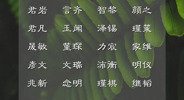 静渊有谋的男孩名字，仁而威，惠而信