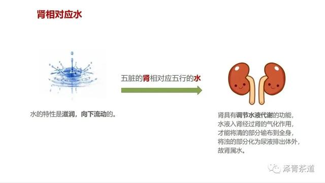 茶中蕴五行，解读茶里的五行能量