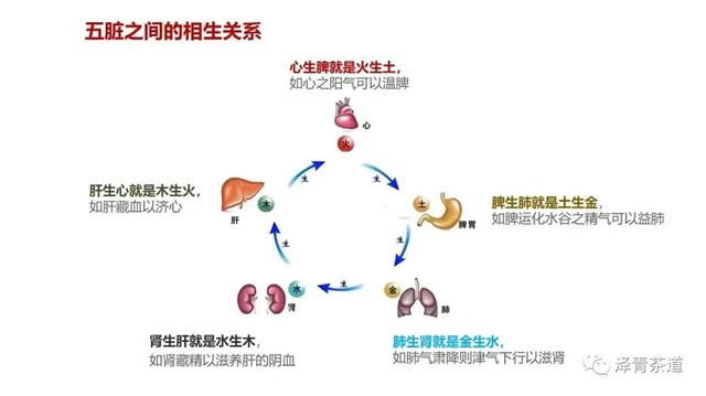 茶中蕴五行，解读茶里的五行能量