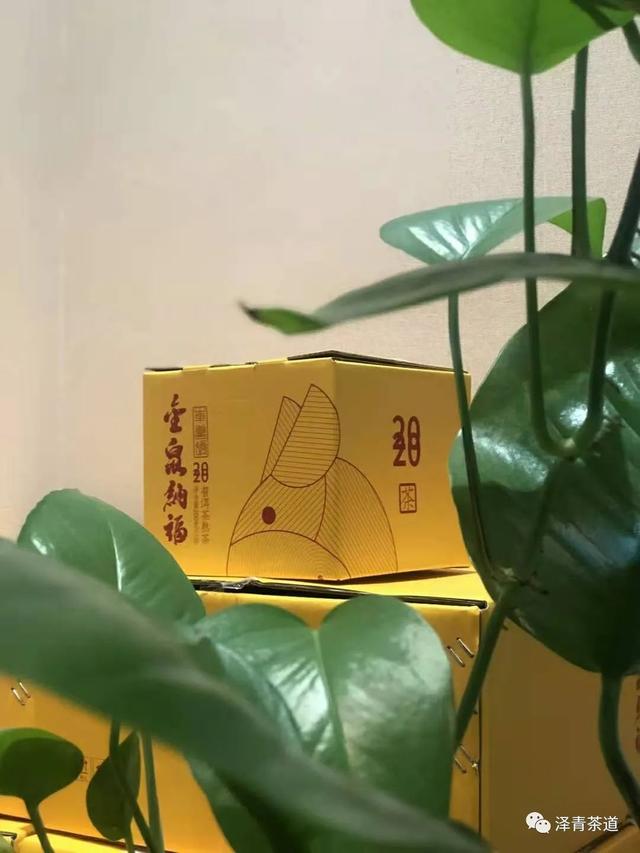 茶中蕴五行，解读茶里的五行能量