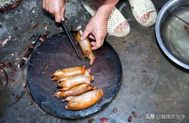 越南人眼中这种恶心的动物是神秘的美味，少女跟孕妇最爱吃