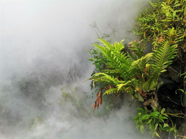 昆明“扶荔宫”带你穿越植物王国