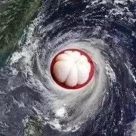 凶猛台风“山竹”为何取名可爱：祈求带来危害小一些