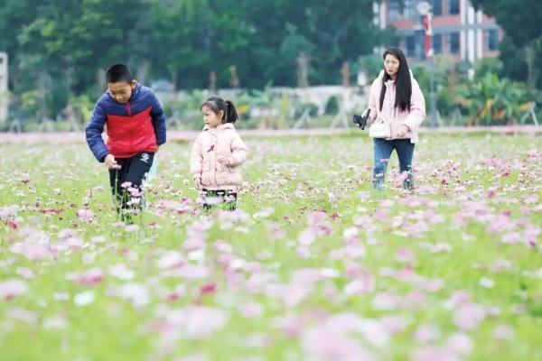 回到乡村 寻觅“儿时的记忆”