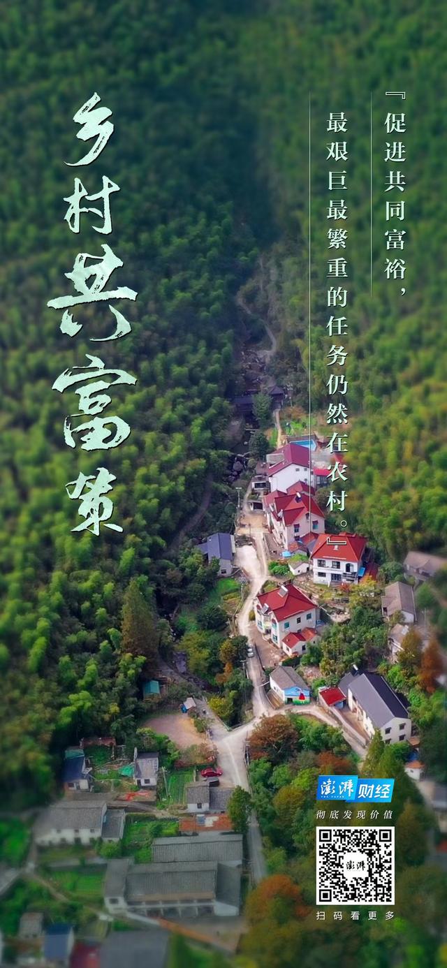 乡村共富策①浙江仙潭村：莫干山北麓的民宿引来返乡创业潮