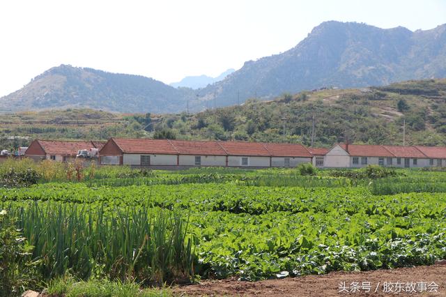 组图：威海乳山一个山村的秋季风光，村名叫“小管”