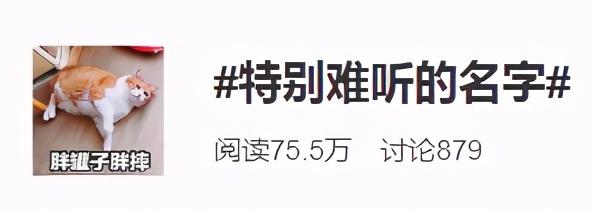 属马名字必须带草，属鼠要含五谷杂粮？父母给孩子起名经历了什么