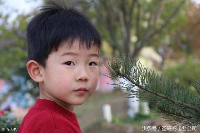 路姓男孩起名 带解释的路姓男孩名字