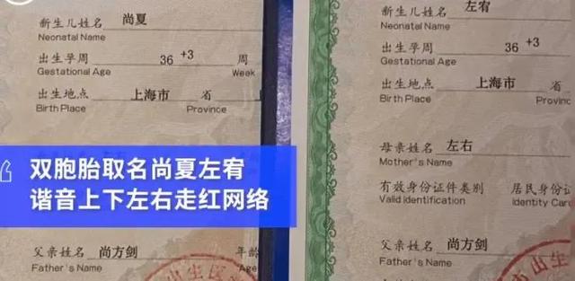 上海一双胞胎名字火了，谐音“上下左右”，网友：全家名字都很牛