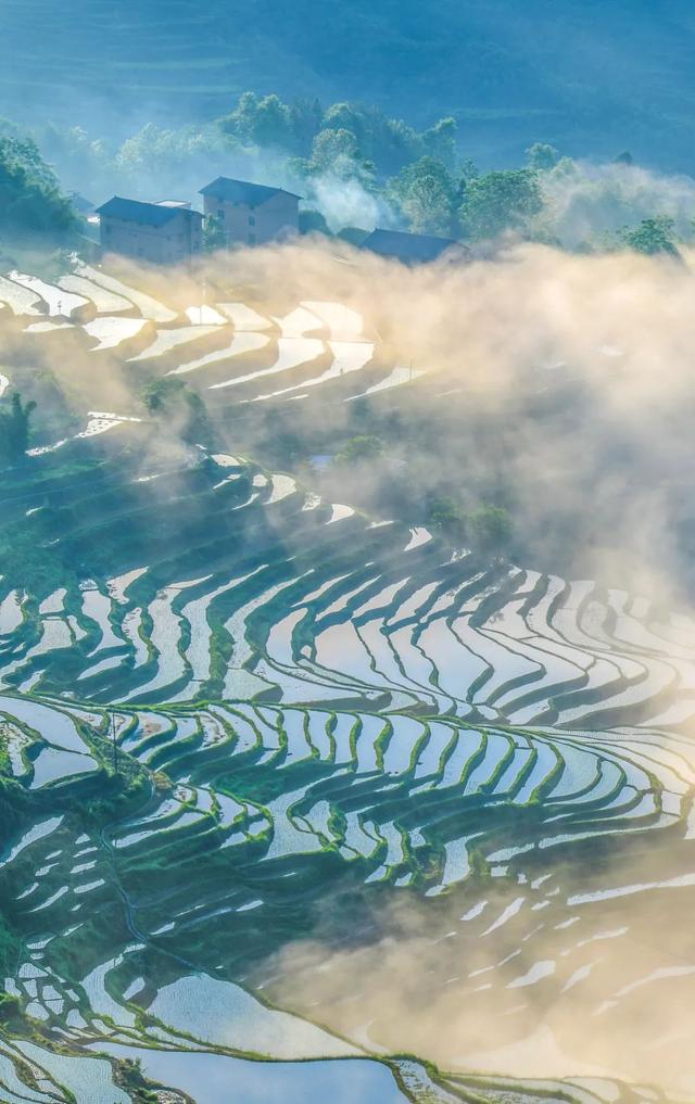 走！去吃川菜