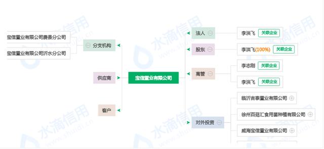 曾经红极一时的费县地王兰陵宝信置业如何销声匿迹