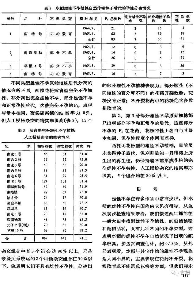 杂交水稻之外的袁隆平