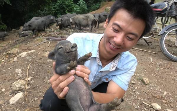 把猪猪做成美味，是一门大学问