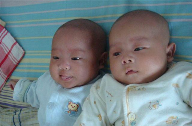 吴姓爸爸生了一对双胞胎，网友给取的名字，连医生都说好听！