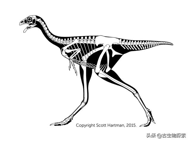 中国发现拥有霸气名字的羽毛恐龙却没有脑袋