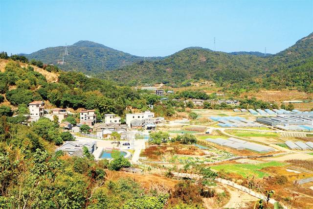 惠阳秋长双田村：客家山村风光好 红色热土故事多